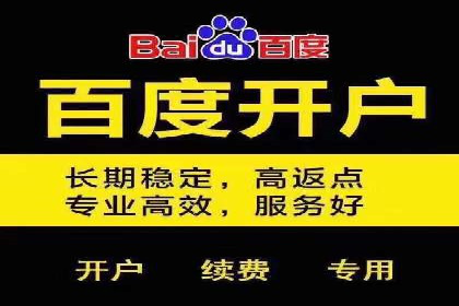 SEO与SEM融合策略：成功案例解析